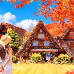 Gifu Prefecture - World Heritage Hida-Takayama + Shirakawa-go Gassho Village Day Trip | From Nagoya | Observation Deck Guaranteed